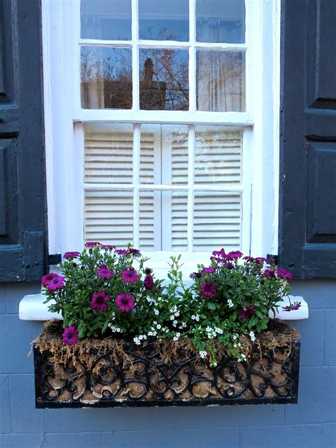 ornate metal window boxes|metal window boxes.